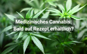 Medizinisches Cannabis: In der Schweiz bald mit Rezept?