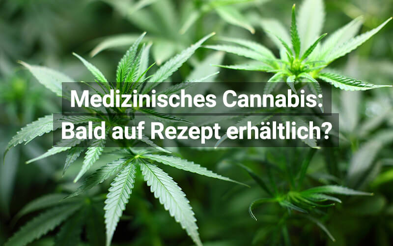 Medizinisches Cannabis: In der Schweiz bald mit Rezept?