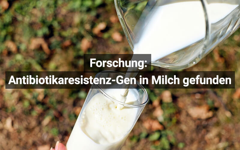 Antibiotikaresistenz In Milch