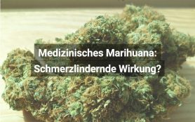 Medizinisches Cannabis Schmerzlindernd