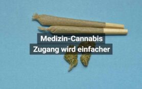 Medizincanabis Nationalrat Vereinfacht Zugang