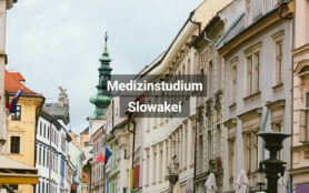 Medizinstudium Slowakei