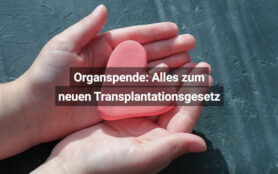 Organspende Wie Es Nach Dem „Ja“ Zum Neuen Transplantationsgesetz Weitergeht