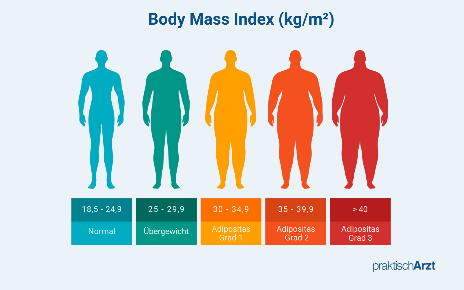 Adipositas BMI