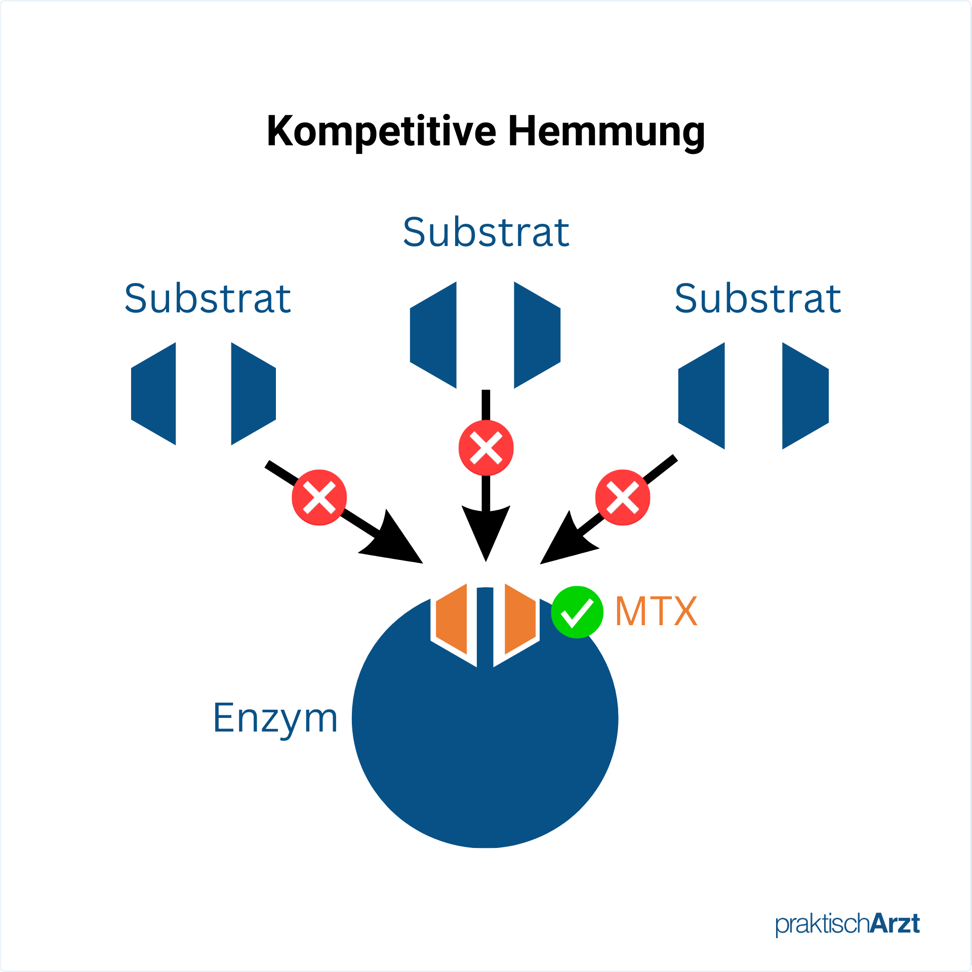 Mtx Methotrexat Kompetitive Hemmung