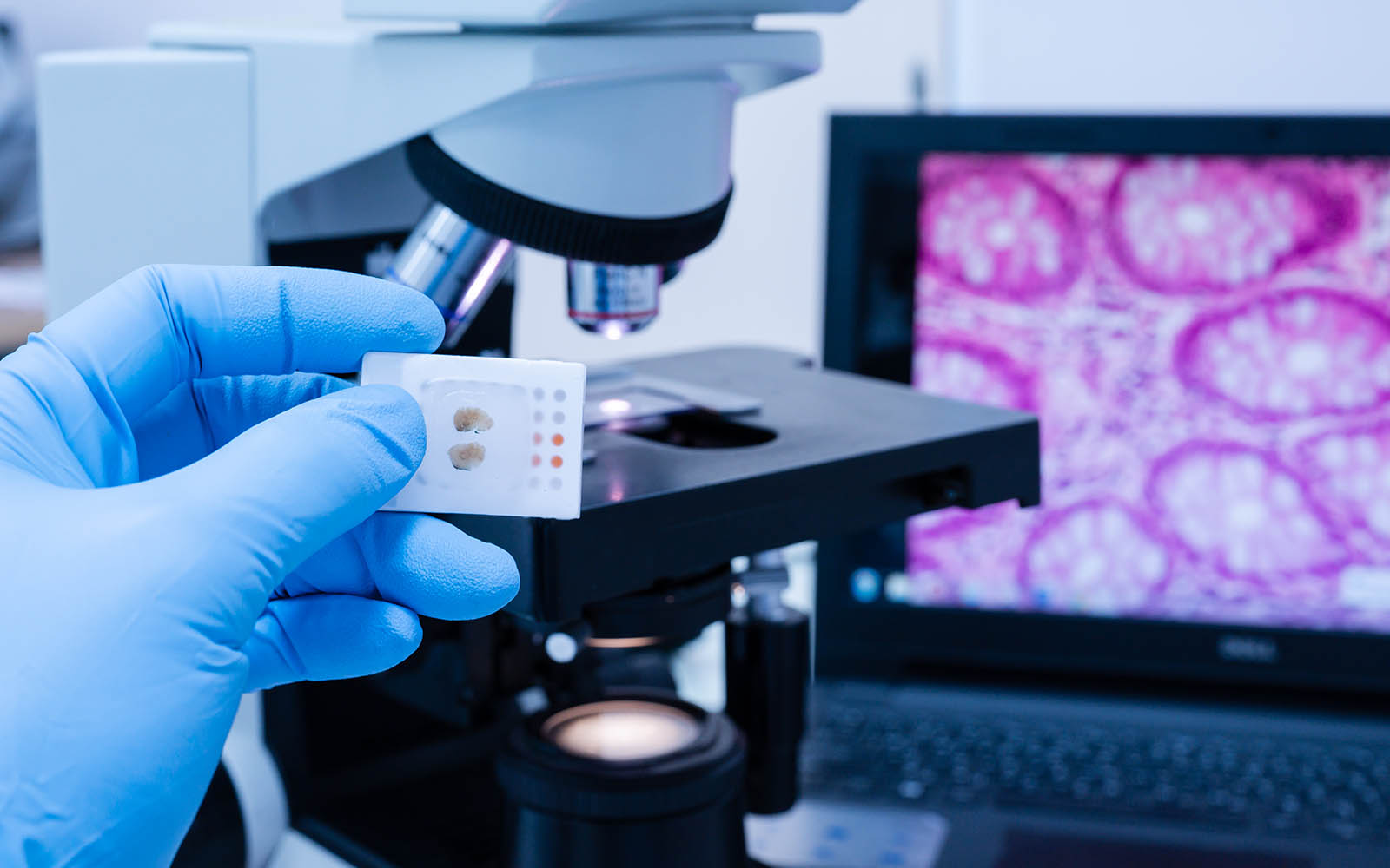 Weiterbildung Facharzt Pathologie Schweiz